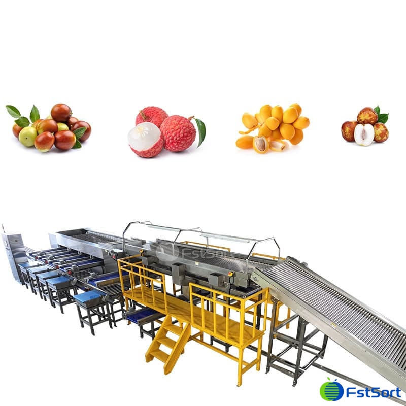 images/1765332390131lychee processing.jpg